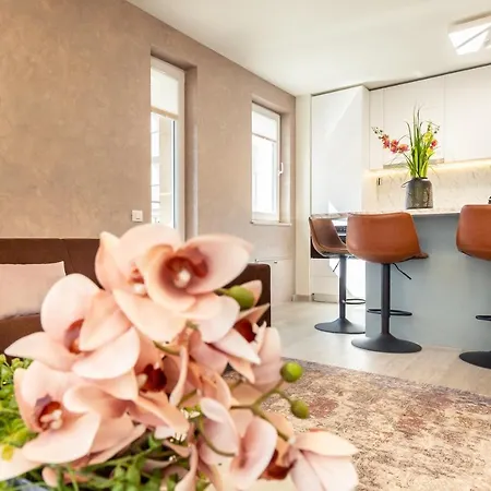 5th Floor Executive With Balcony And Free Parking 아파트 브라쇼브