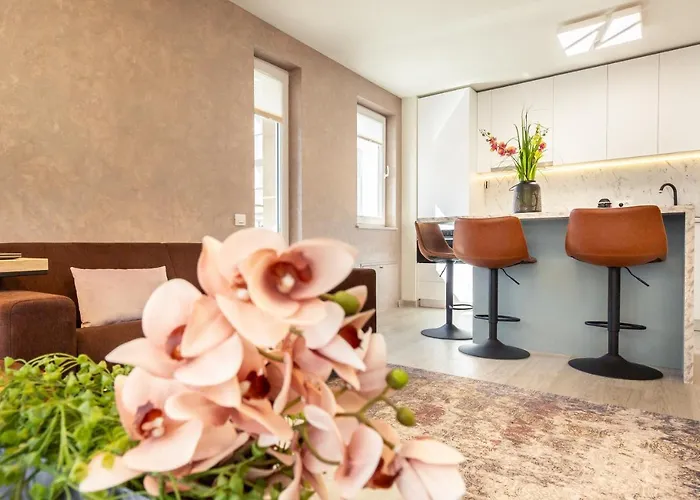 5th Floor Executive With Balcony And Free Parking Appartement Braşov