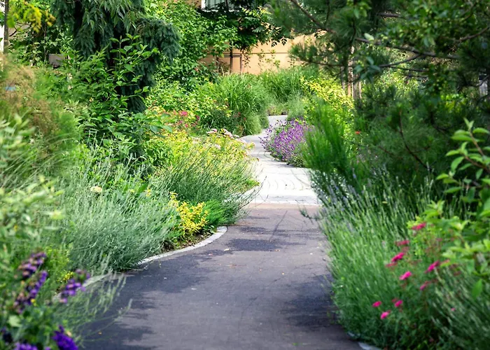 5th Floor Executive With Balcony And Free Parking Apartment